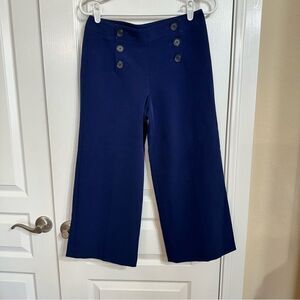 D8 Express Wide-Leg navy Button Pants